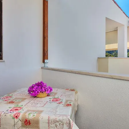 Apartman Cico Gdinj
